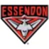 Essendon Bombers