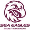 Manly-Warringah Sea Eagles