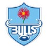 Vodacom Bulls